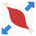 Muscle  Icon