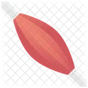 Muscle Skeletal Myofibril Icon