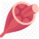 Muscle Skeletal Fiber Icon