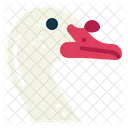 Muscovy Duck  Icon