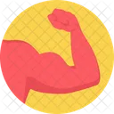 Musculos Ejercicio Gimnasio Icono