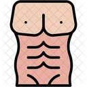 Musculos Ajuste Anatomia Icono