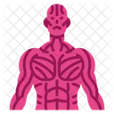 Musculos Tendones Icono