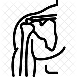 Musculoskeletal  Icon