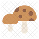 Food Vegetable Fungus Icon