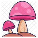 Cartoon Mushroom Icon