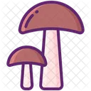 Mushroom Ecology Nature Icon