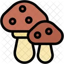 Mushroom Mushrooms Fungus Icon