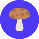 Mushroom Food Nature Icon