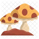 キノコ  アイコン