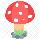 Mushroom Toadstool Fungi Icon