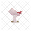 Mushroom Fly Agaric Red Icon