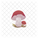 Mushroom Magic Forest Icon