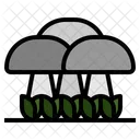 Fungus Mushroom Oyster Mushrooms Icon