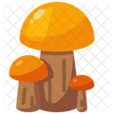 Diet Mushroom Nature Icon