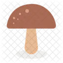 Food Mushroom Organic Icon