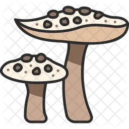 Mushroom  Icon