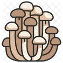 Food Mushroom White Icon