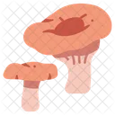 Food Mushroom Toadstools Icon