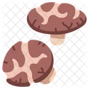 Food Mushroom Shiitake Icon