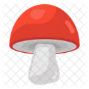 Mushroom Oyster Mushroom Fungi Icon