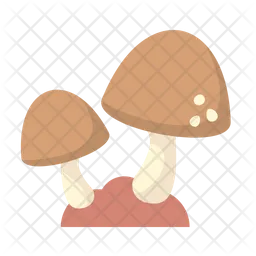 Mushroom  Icon