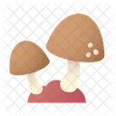 Mushroom Fungi Nature Icon