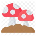 Mushroom Fungi Vegan Icon