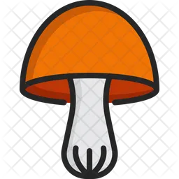 Mushroom  Icon