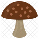 Mushroom Shiitake Fungi Icon
