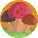 Nature Mushroom Plant Icon