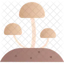 Mushroom Food Plant Icon