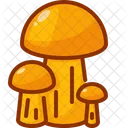 Mushroom  Icon