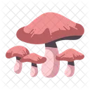 Mushroom Food Organic Icon