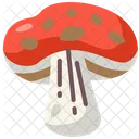 Mushroom  Icon