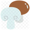 Mushroom  Icon