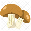 Mushroom Champignon Fungus Icon