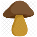 Mushroom Organic Vegetarian Icon