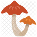 Mushroom Nature Fungi Icon
