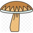 Mushroom Boletus Edible Icon