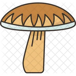 Mushroom  Icon