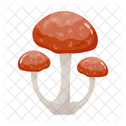 Mushroom  Icon