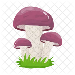 Mushroom  Icon
