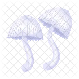 Mushroom  Icon