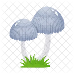 Mushroom  Icon