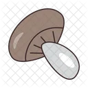 Mushroom  Icon