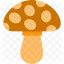 Mushroom Mushrooms Fungus Icon
