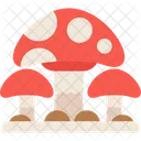 Mushroom Edible Japanese Icon