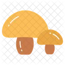 Mushroom Toadstool Oyster Icon