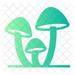 Mushroom  Icon